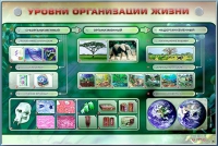 Электрифицированный стенд "Уровни организации жизни" - «globural.ru» - Махачкала