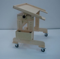 Столик на колесиках для детей с ограниченными возможностями - «globural.ru» - Махачкала