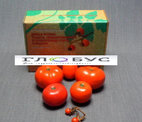 Муляжи Дикая форма и культурные сорта томатов - «globural.ru» - Махачкала