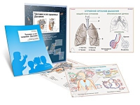 Комплект транспарантов «Человек и его здоровье. Дыхание» - «globural.ru» - Махачкала