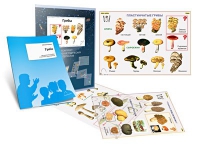 Комплект транспарантов «Грибы» - «globural.ru» - Махачкала