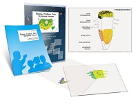 Комплект транспарантов «Корень. Стебель. Лист (Внутреннее строение)» - «globural.ru» - Махачкала