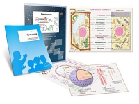 Комплект транспарантов «Цитология» - «globural.ru» - Махачкала