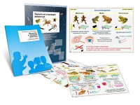 Комплект транспарантов «Ядовитые и жалящие животные» - «globural.ru» - Махачкала