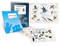 Комплект транспарантов «Зоология. Птицы» - «globural.ru» - Махачкала