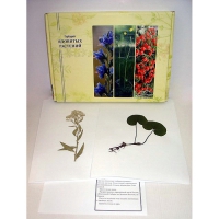 Гербарий ядовитых растений (20 видов) - «globural.ru» - Махачкала