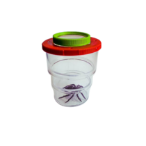 Коробка для изучения насекомых с лупой (вариант 2) - «globural.ru» - Махачкала