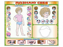 Стенд маркерный "Познаю себя" (тело, голова, органы чувств) - «globural.ru» - Махачкала