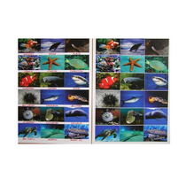 Английское лото "Подводный мир" - «globural.ru» - Махачкала