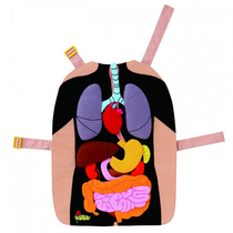 Фланелеграф-фартук "Анатомия" - «globural.ru» - Махачкала