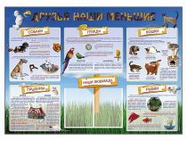 Стенд-уголок "Друзья наши меньшие" - «globural.ru» - Махачкала