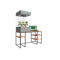 Цифровая био система по выращиванию растений для ДОУ. Премиум - «globural.ru» - Махачкала