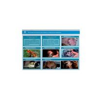 Стенд-планшет светодинамический "Изучение типических патологических процессов в организмах животных" - «globural.ru» - Махачкала