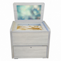 Сундучок психолога-дефектолога "Антошка" - «globural.ru» - Махачкала