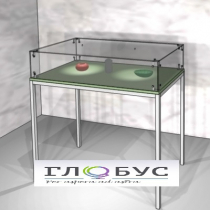 Витрина для музея на металлическом каркасе - «globural.ru» - Махачкала