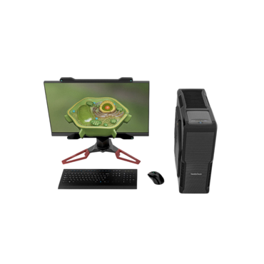 Голографическая система NettleDesk - «globural.ru» - Махачкала