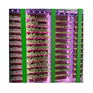 Вертикальная ферма "Моя Микрозелень" комплектация Школьная - «globural.ru» - Махачкала