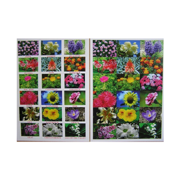 Английское лото "Цветы - травы" - «globural.ru» - Махачкала