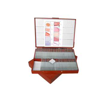 Комплект микропрепаратов "Анатомия" - «globural.ru» - Махачкала