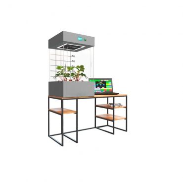 Цифровая био система по выращиванию растений для ДОУ. Базовый уровень - «globural.ru» - Махачкала