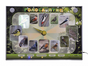 Электрифицированный стенд-часы "Голоса птиц" с комплектом дидактического материала - «globural.ru» - Махачкала