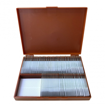 Комплект микропрепаратов по анатомии, ботанике, зоологии, общей биологии - «globural.ru» - Махачкала